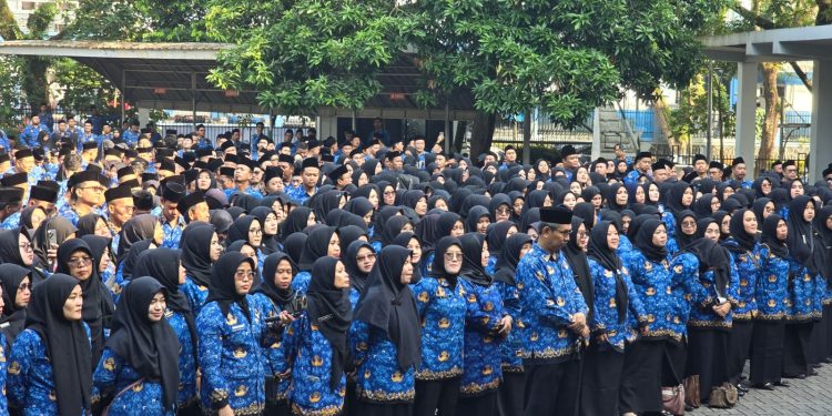 Gaji PPPK Paruh Waktu: Apakah Lulusan SMA dan S1 Mendapatkan Upah yang Sama?