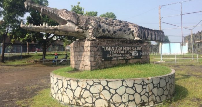 Wisata Tangerang: Taman Buaya Tanjung Pasir, Terlalu Menarik untuk Dilewatkan