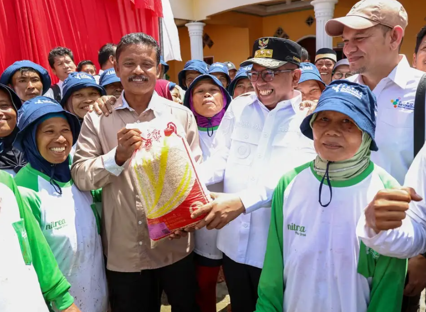 Update! Kenaikan Harga Gabah Membuat Petani di Banten Merasa Terbantu