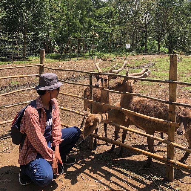 Cek Fasilitas Taman Hutan Raya Djuanda, Ekowisata Populer di Bandung