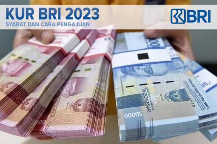 Punya Usaha dan Butuh Modal? Bisa Dapat Rp50 Juta Dari KUR BRI 2023