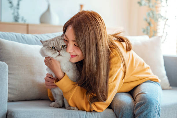 7 Pertanda Jika Kucing Mati Mendadak di Rumah, Waspada Hal Ini!