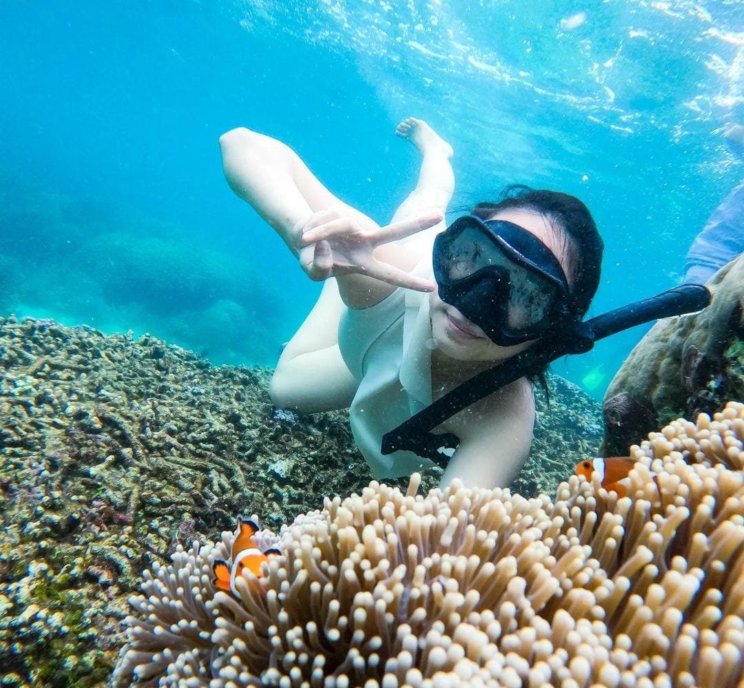 Tak Cuma Laut, Ini Keindahan yang Menakjubkan di Pulau Peucang