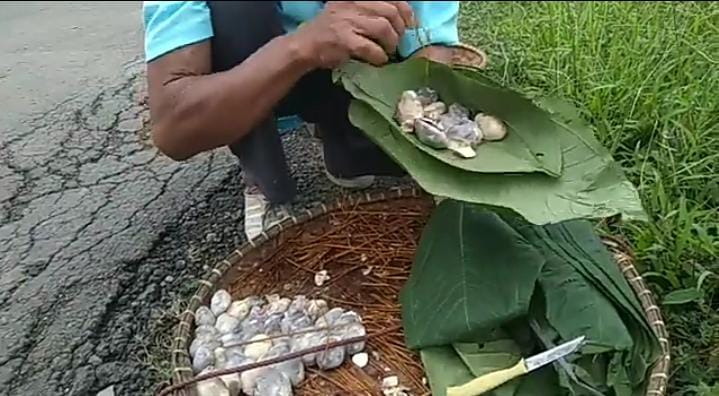 Kotok Bongkok: Makanan Fermentasi Kluwek atau Picung Khas Lebak Banten, Sudah Coba Belum?