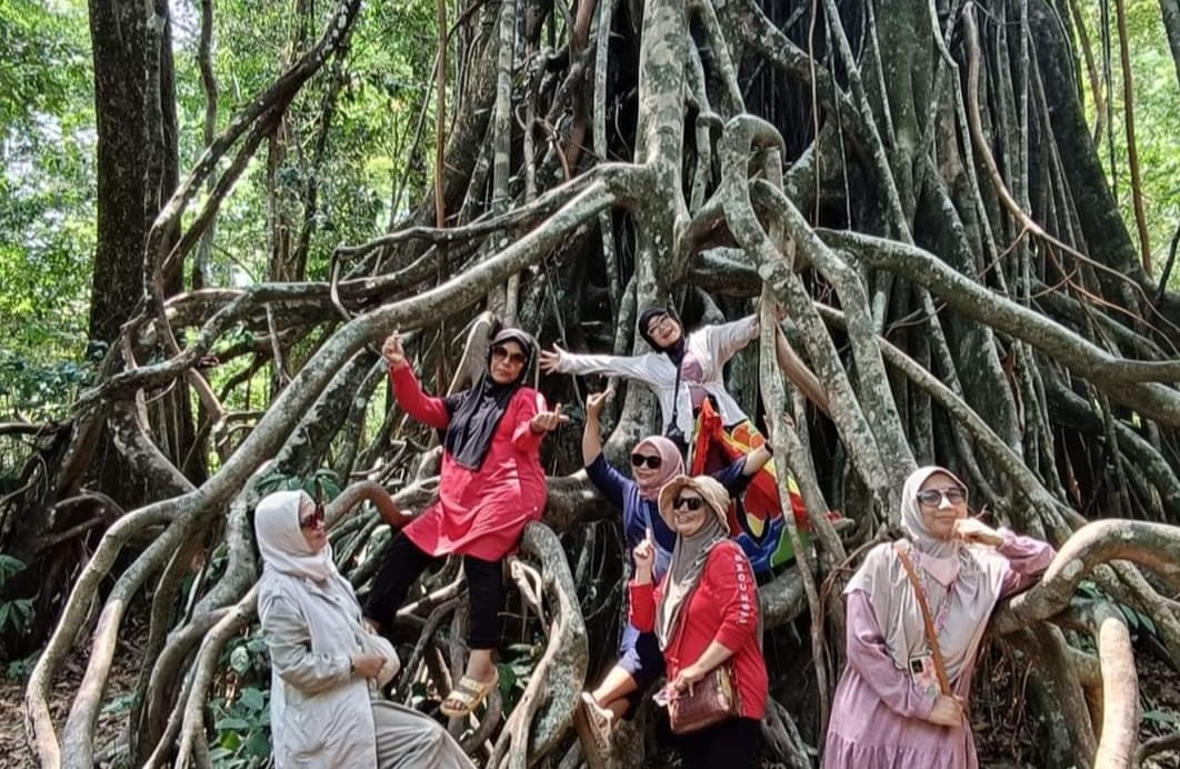Pohon Kiara Pencekik di Pulau Peucang Jadi Tempat Selfie Wisatawan