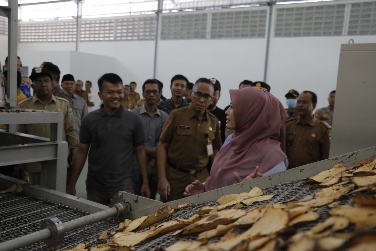 Didukung Pabrik di Panimbang, Pandeglang Targetkan jadi Sentra Budidaya Porang