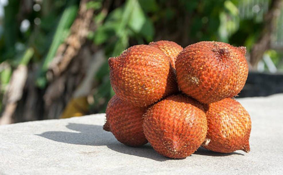 Ini Tujuh Manfaat dari Mengonsumsi Buah Salak, Salah Satunya Dianjurkan untuk Ibu Hamil