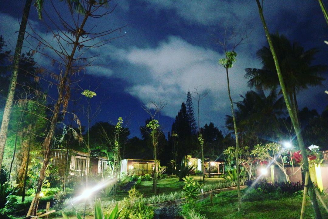 4 Penginapan Bogor-Jogja Hidden Gem dan Homey