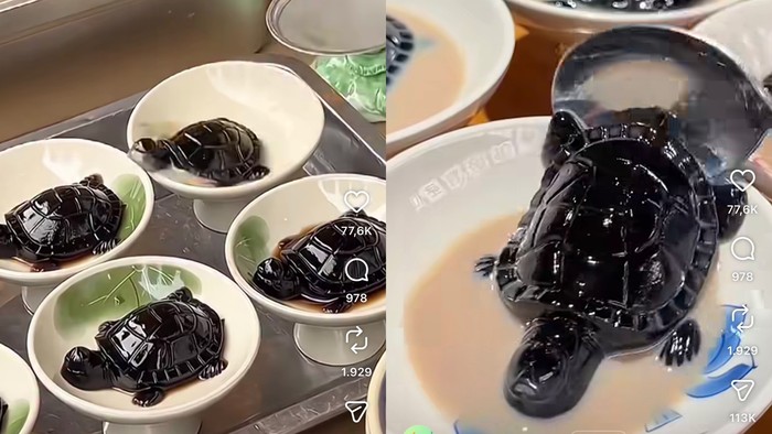 Mengenal Guilinggao, Jeli Herbal Khas China Bentuk Kura-Kura Unik yang Viral