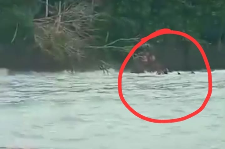 Kapal Tenggelam di Maluku Tenggara, UGM Ungkap Fakta di Balik Tragedi 2 Mahasiswa yang Tewas dalam Kecelakaan