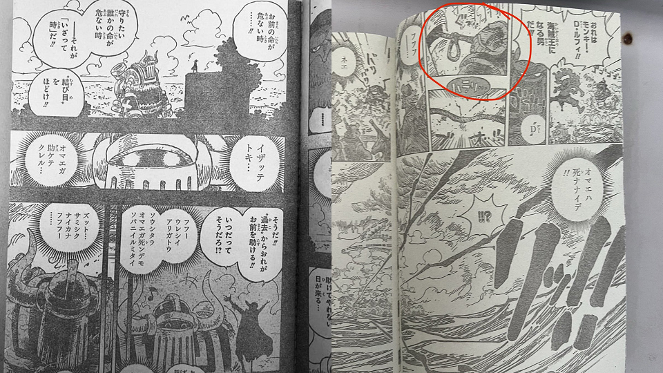 Spoiler Alert, One Piece 1122