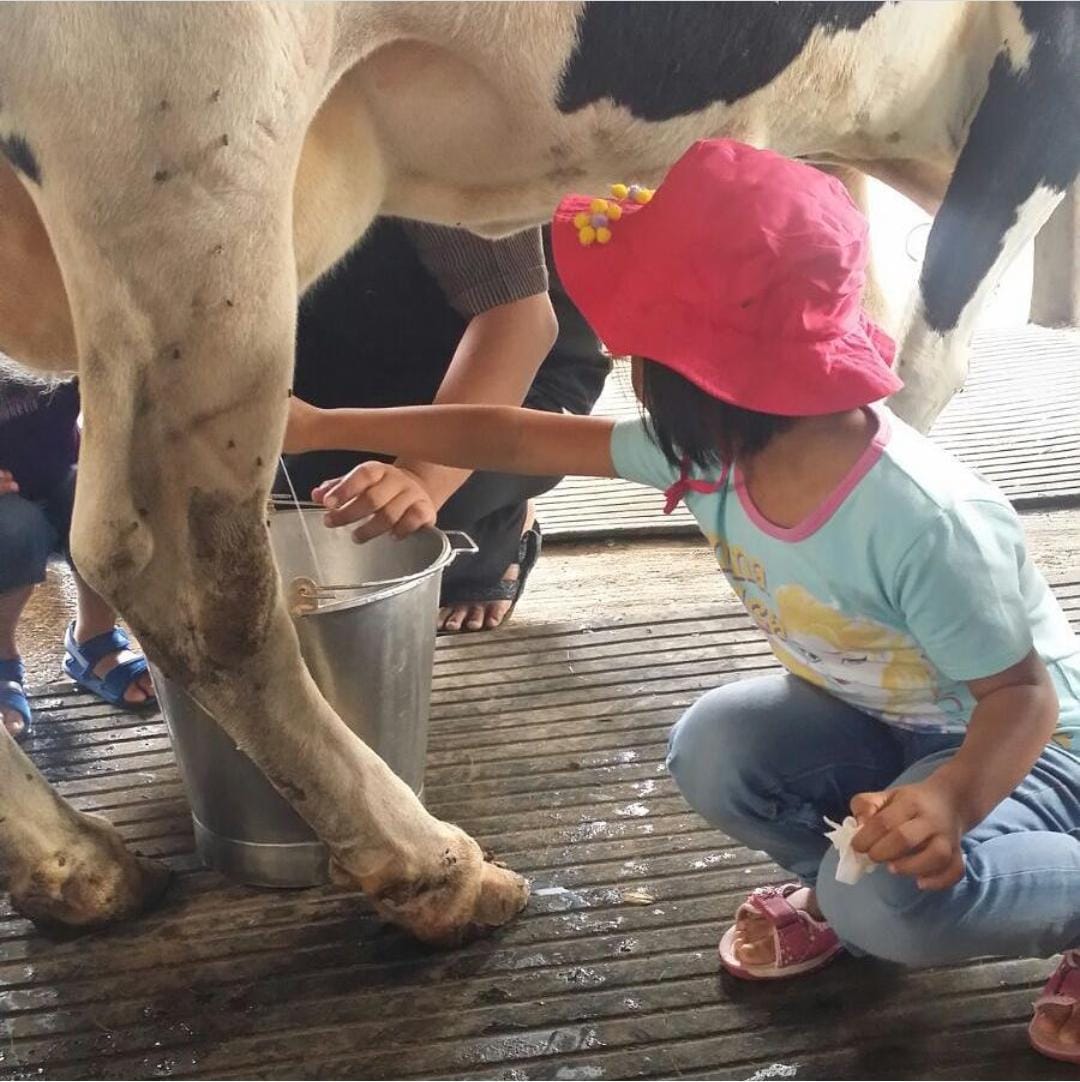 Keseruan Bocil Liburan Sambil Belajar  di Sentulfresh, Bogor