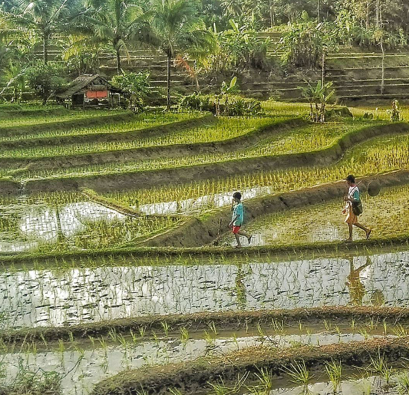 Wisata Pandeglang Kadujangkung, Cocok untuk Berburu Foto Estetik yang Instagramable