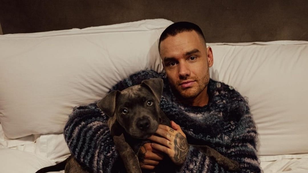 Profil Liam Payne Eks Personil One Direction yang Meninggal Dunia di Usia 31 Tahun