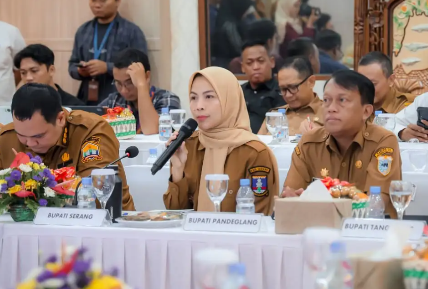 Izin Tambang Bikin Resah, Bupati Serang Minta Tindakan dari Pemerintah Pusat