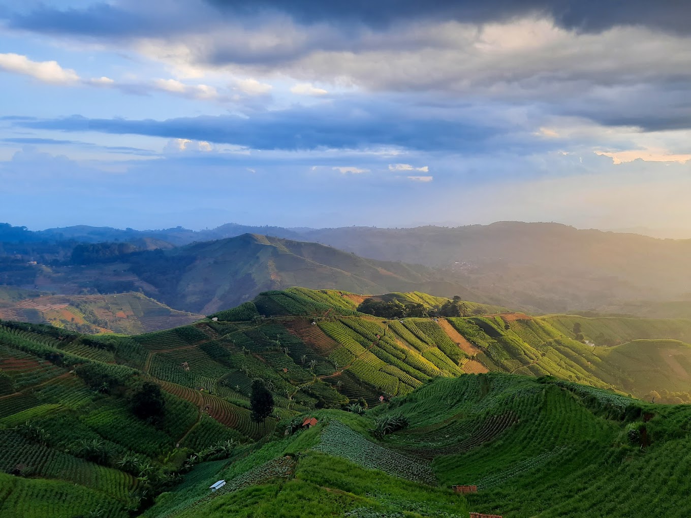 Serunya Liburan di Terasering Panyaweuyan Argapura, Wisata Majalengka yang Wajib Kamu Datengin Pas Tahun Baru