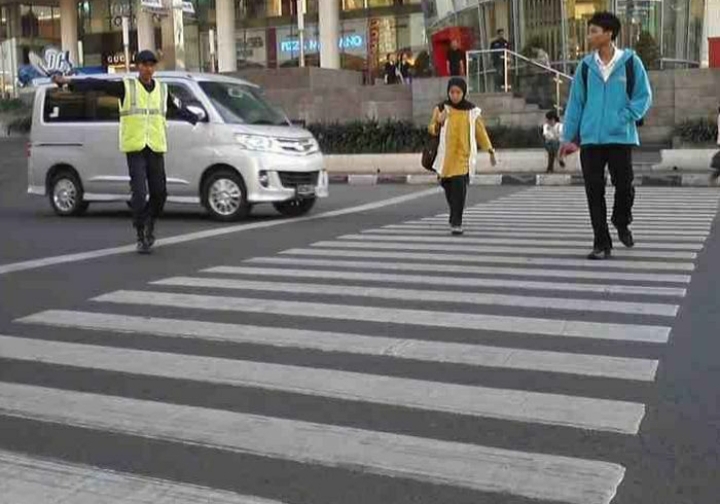 Fungsi Zebra Cross dan Sejarahnya