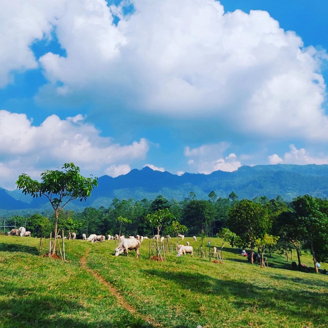 Masuk Cuma 5 Ribu Tapi Viewnya Semewah Ini? Wisata Banten Ini Wajib Kamu Datengin Sebelum Naik Harga