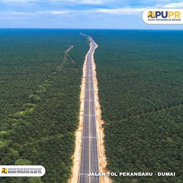 Gajah pun Dibuatkan Jalur Khusus di Jalan Tol Pekanbaru - Dumai