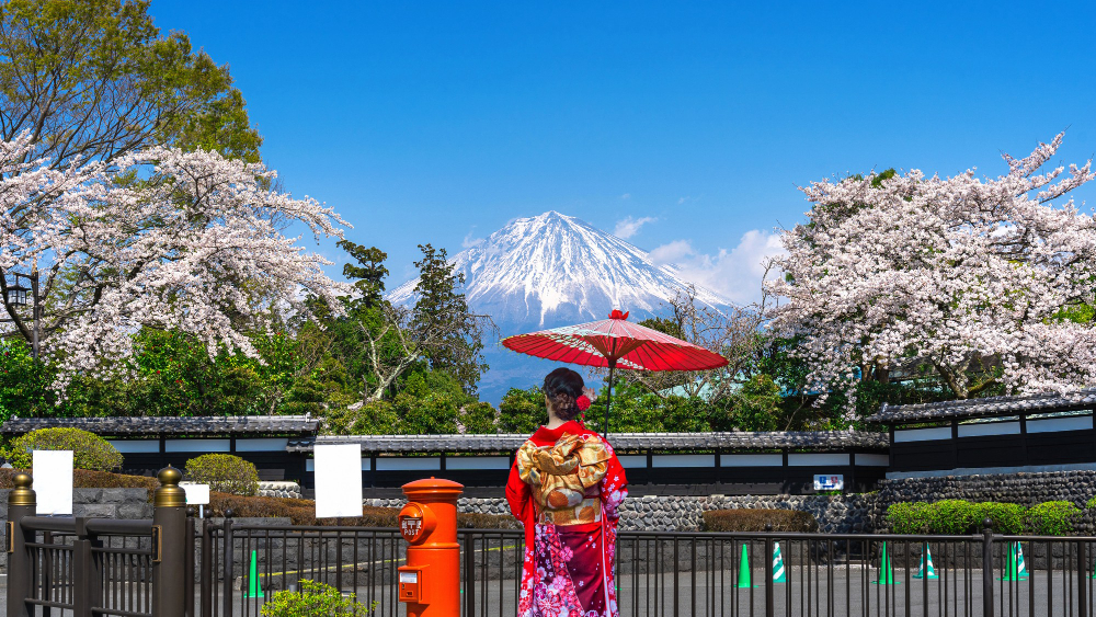 Rekomendasi Tempat Wisata Jepang Bunga Sakura yang Indah Banget 