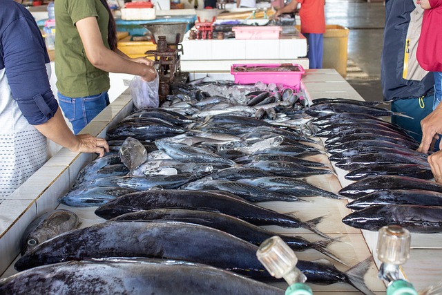 Pinjaman Modal yang Cocok untuk Peternak Ikan, Cek Pada Tabel Angsuran KUR BRI 2023