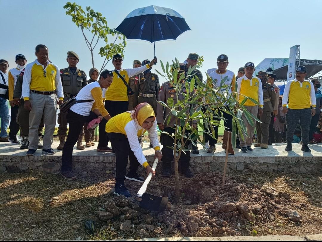 Pemkab Serang Tanam Ribuan Pohon pada Hari Lingkungan Hidup 