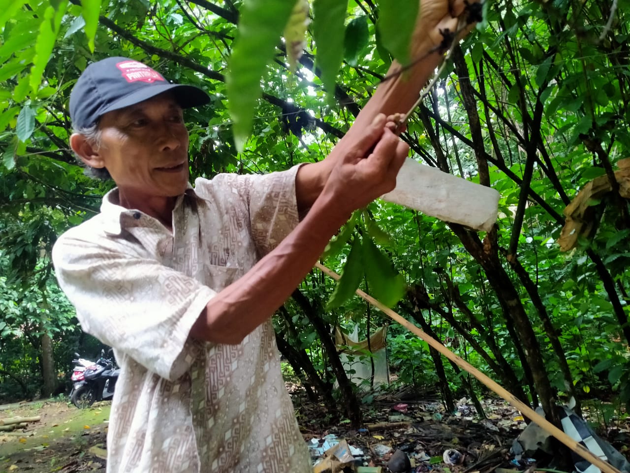 BUMDes Bandung di Pandeglang Akan Galakkan Kebun Pembibitan Kopi Puhu 