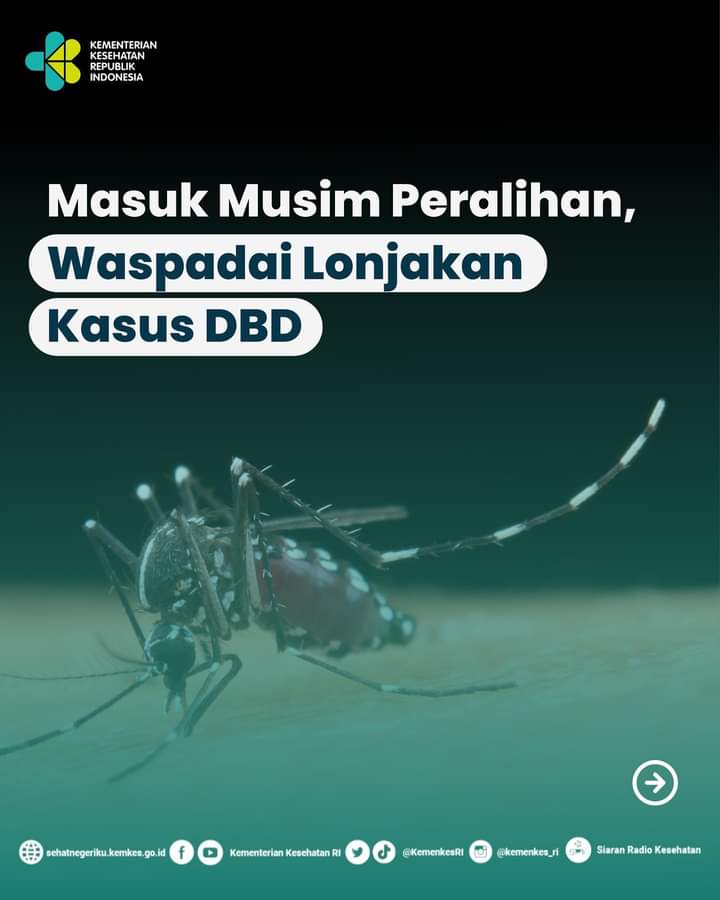 Masuk Musim Hujan, Kemenkes: Waspada Kasus DBD 