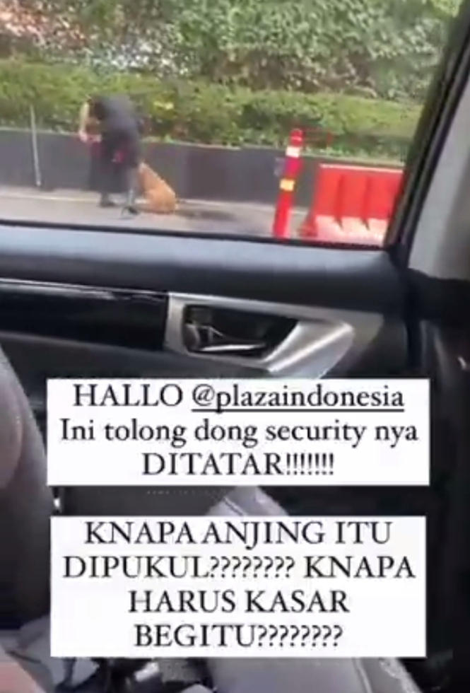 Viral, Security Mal Plaza Indonesia Tega Pukul Anjing Penjaga, Begini Keterangan Mal PI