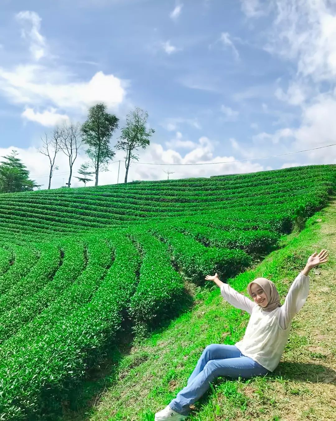 Tak Hanya Puncak, Banten Juga Ternyata Punya Kebun Teh Istimewa