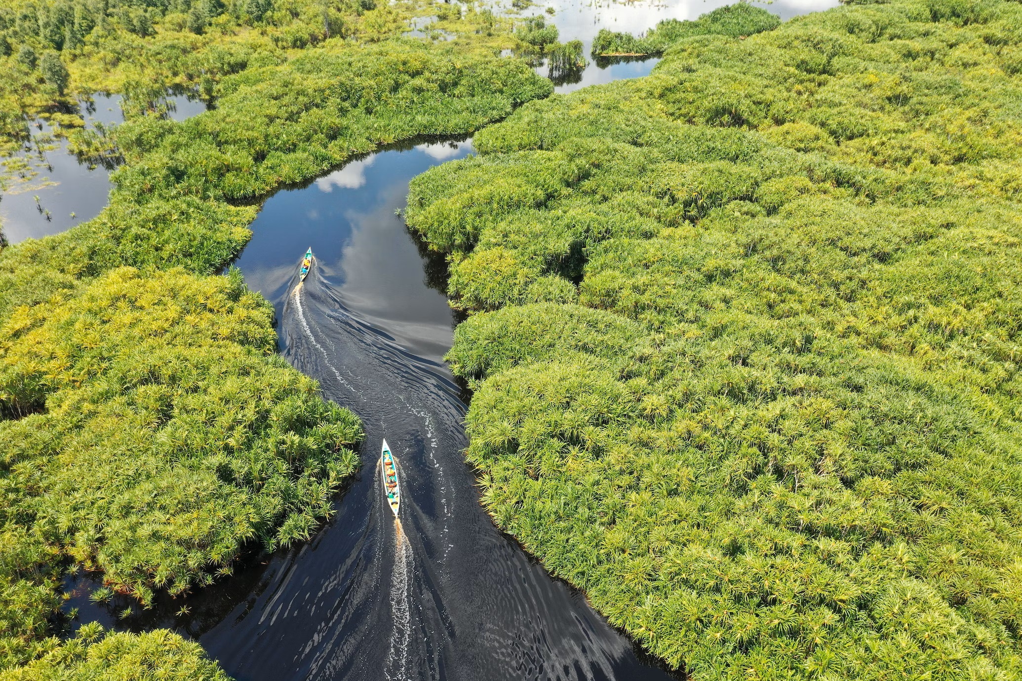 3 Destinasi di Hutan Kalimantan, Lokasi Syuting Petualangan Sherina 2