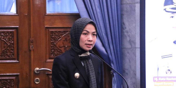 Bupati Serang Minta Dinkes Perkuat Pengecekan Kesehatan Warga di Cikande dan Kibin