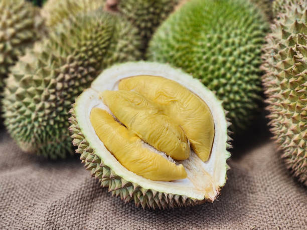 Tips Memilih Durian Manis Agar Tidak Tertipu