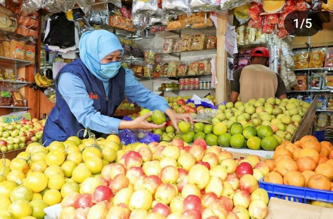 Liburan ke Agro Wisata Apel Pujon, Bisa Panen Apel Malang Sepuasnya