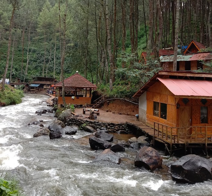 Camping Ground di Kampung Singkur Pengalengan, Bermalam di Atas Sungai Dikelilingi Kebun Teh Bikin Adem Hati