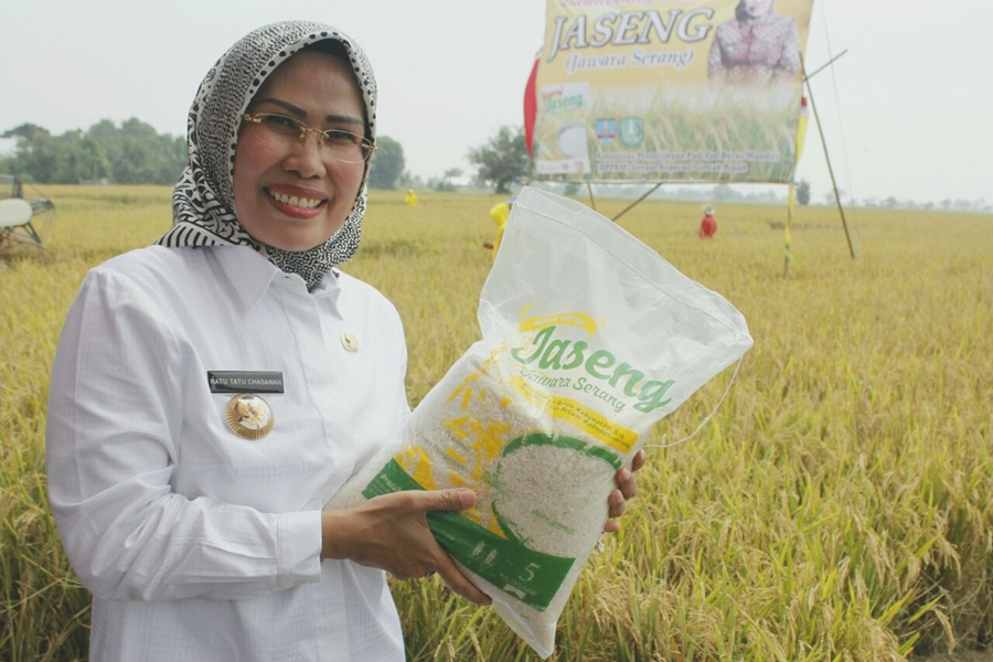 Ratu Tatu Raih Satyalancana Wira Karya Bidang Pertanian dari Presiden Jokowi