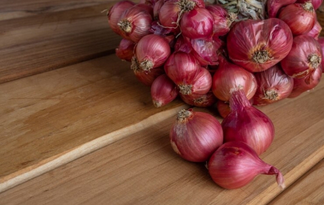 Meski Bau, Kulit Bawang Merah Punya Manfaat Sebagai Pestisida Begini Cara Pakainya