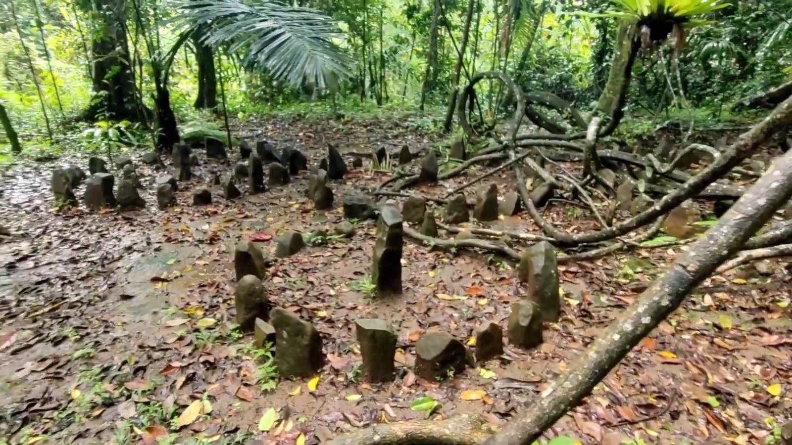 Misteri Batu Melingkar di Tasikmalaya, Bisa Buka Internet Tanpa Kuota