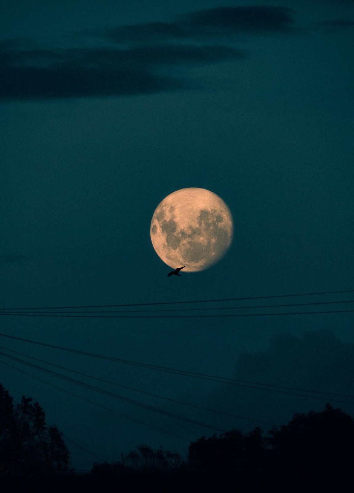 Bulan Purnama 'Flower Moon' Tiba di Indonesia, Kamis 23 Mei 2024