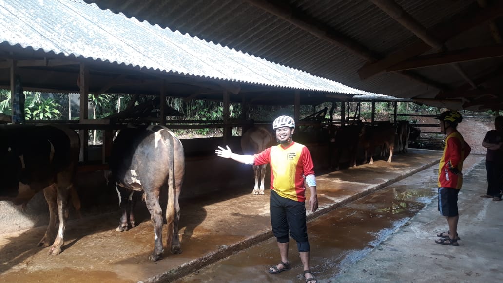 Stok Hewan Kurban Minim, Pasokan Luar Daerah Sulit Masuk, Harga Tinggi