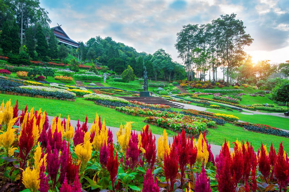 Kebun Mawar yang Ada di Wisata Garut Ini Bisa Jadi Tempat Untuk Kamu Cosplay Princess