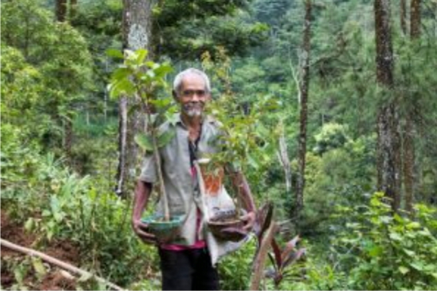 Perjuangan Mbah Sadiman Hijaukan Wonogiri, Tanam 11 Ribu Pohon, Kini Desanya Tak Lagi Kekeringan 