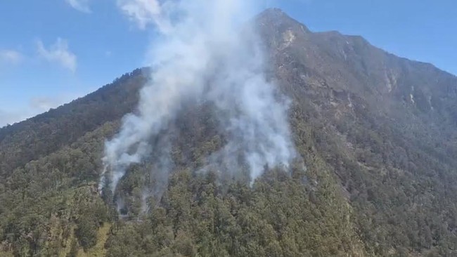 Gunung Arjuno Kembali Kebakaran, Pijar Api di Lereng Terlihat Jelas dari Gerbang Tol Malang