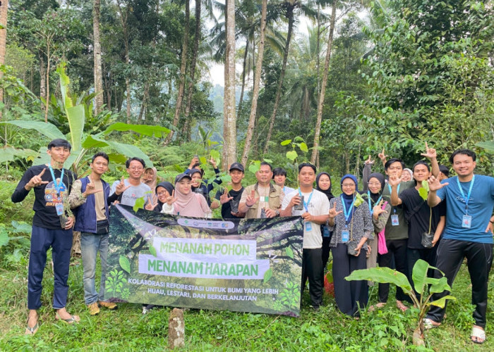 KAMMI Serang Tanam Pohon untuk Dukung Upaya Reforestasi di Pandeglang