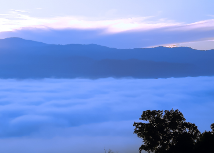 Ternyata Ini Awal Mula Ditemukannya Wisata Negeri di Atas Awan Citorek