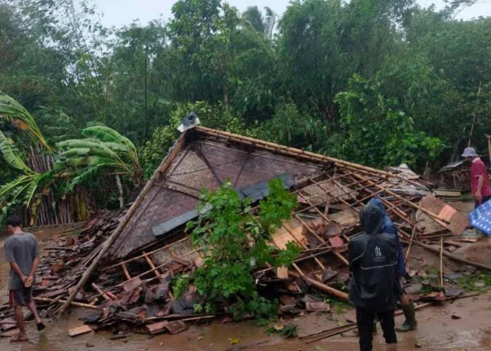 Hujan Angin, Dordar Gelap: Rumah Sampai Tiang Listril Ambruk di Malingping Hingga Cibeber Lebak Banten
