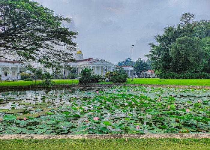 Destinasi Wisata Bogor Dengan Si Kecil, Anak Dijamin Gak Rewel