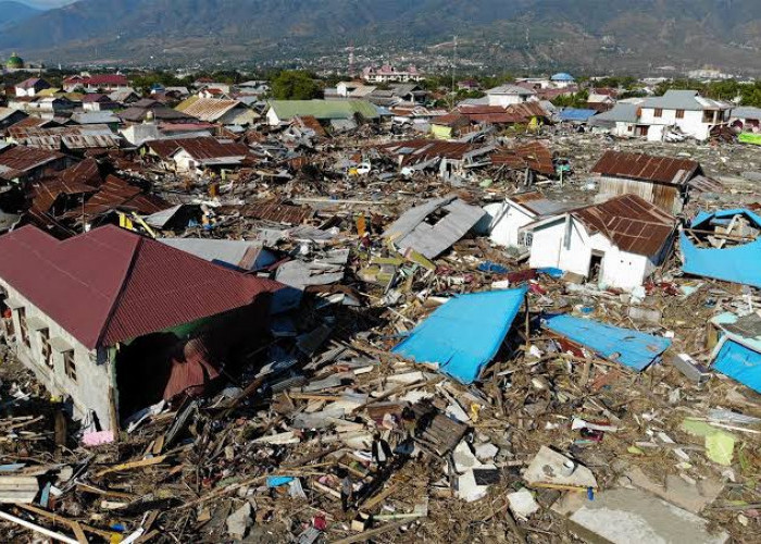 2.768 Gempa Susulan Guncang Flores, Warga Diminta Tetap Waspada