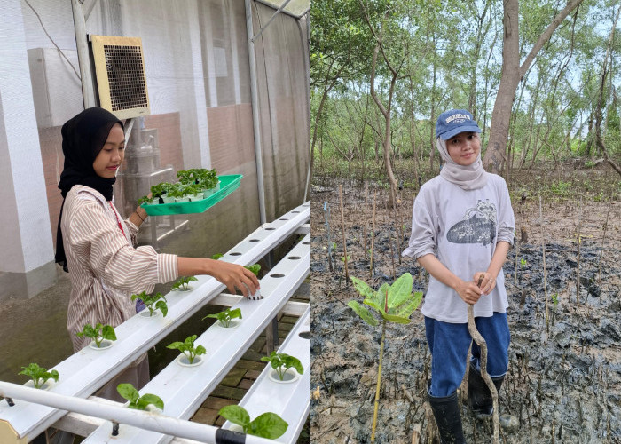 ‎Bertani Ala Gen Z, Hidroponik Jadi Pilihan
