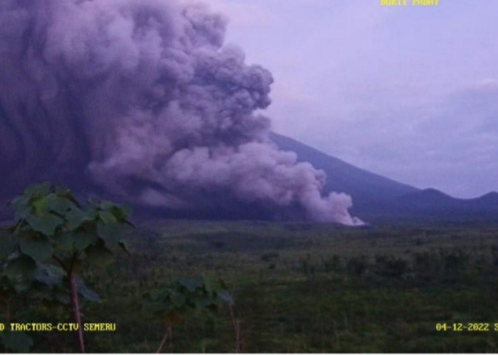 Luncuran Awan Panas Semeru Sudah Mencapai 19 Kilometer